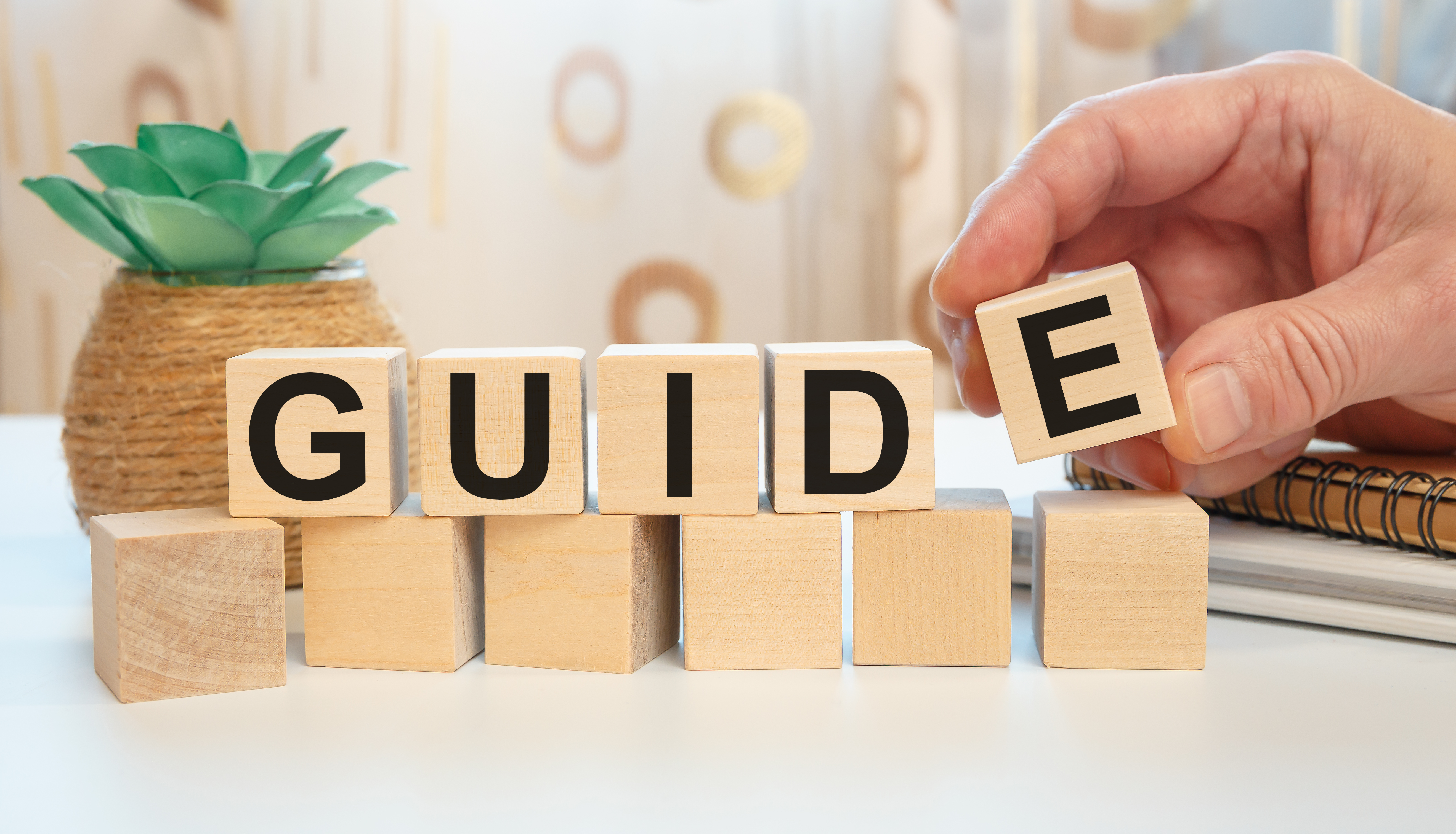 Guide
