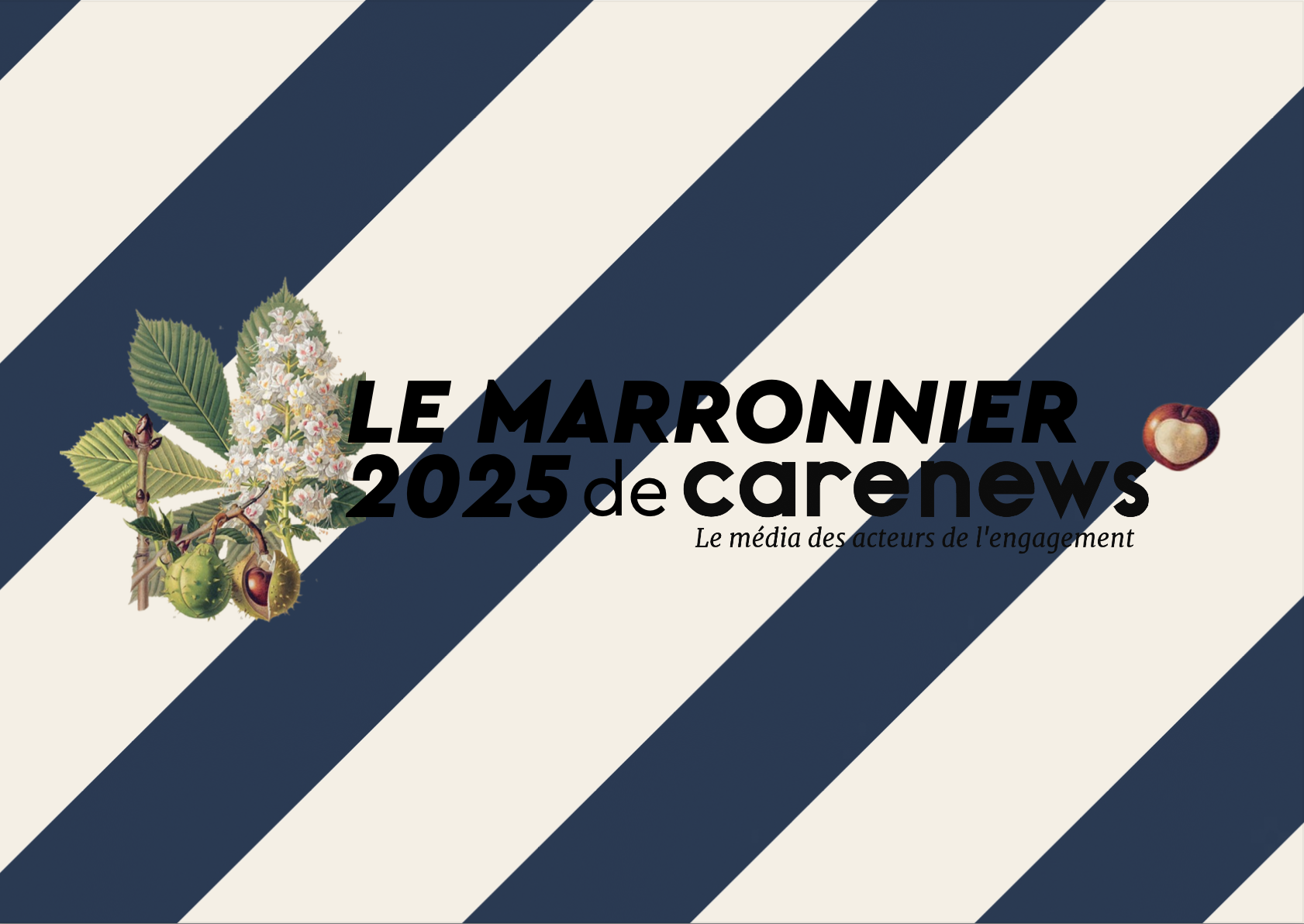 Marronnier Carenews 2025