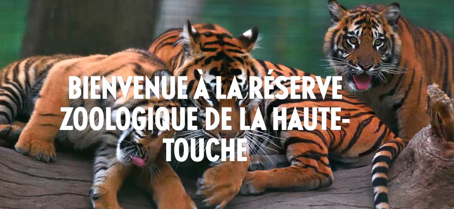 zoodelahautetouche.fr