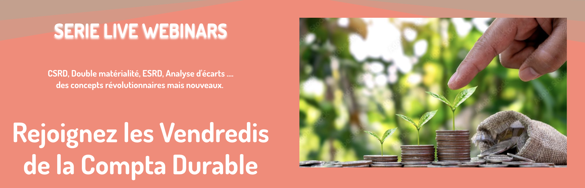 Vendredis de la compta durable  - Vert de Gris