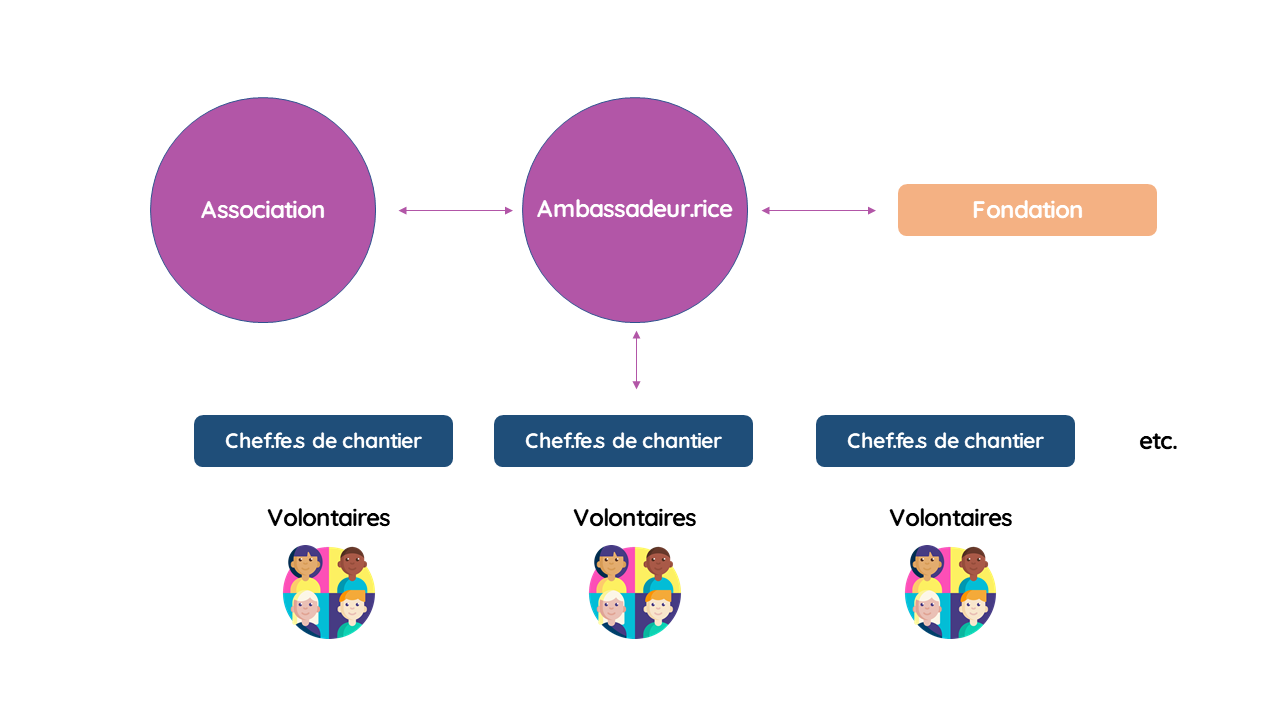 Organigramme de l’écosystème