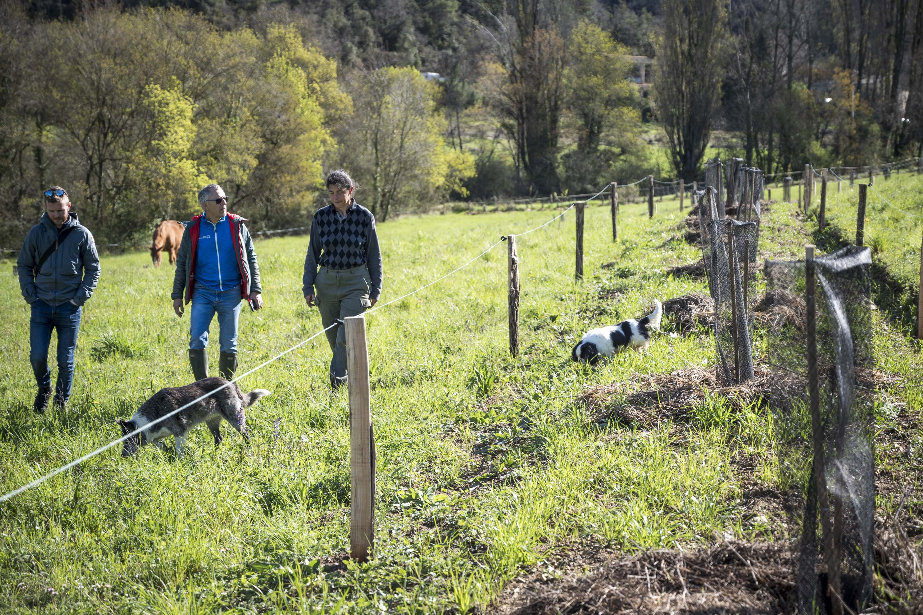 La Ferme Aux Sources de Mirmande