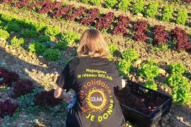 Photo association Solaal