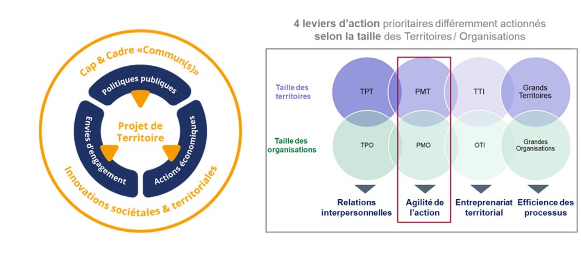 effet taille sur les leviers d'action
