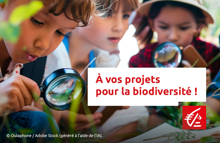 visuel avec des enfants qui explorent la nature