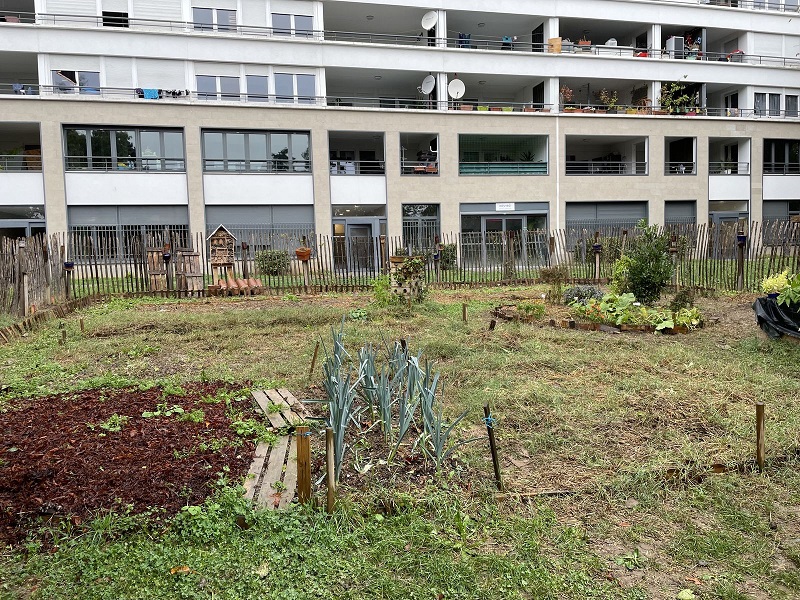 Jardin partagé aux pieds des tours