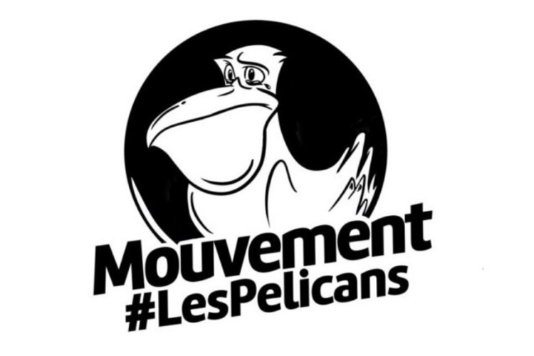 Capture d'écran du logo des Pélicans, mouvement de dirigeants associatifs contre la réforme du mécénat.