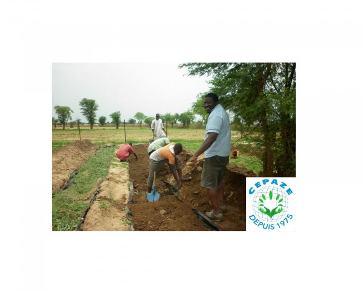 Le CEPAZE forme les producteurs maliens à la permaculture