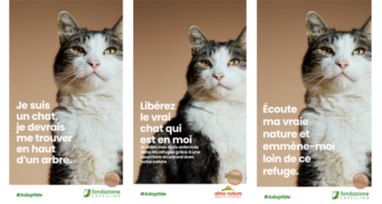 La fondazione Capellino et Almo Nature alertent sur la nécessité d’adopter un animal