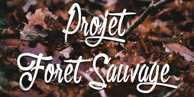 Un collectif citoyen lance un appel aux dons pour protéger une forêt
