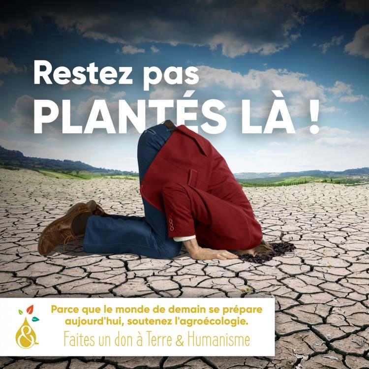 Visuel Campagne