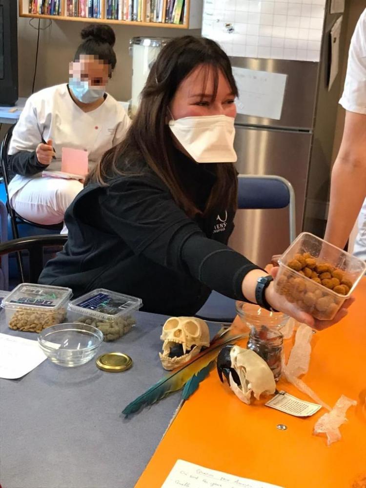Dégustation de croquettes des gibbons