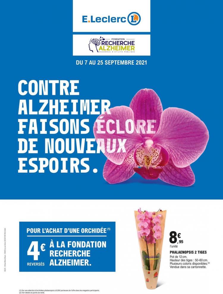 Contre Alzheimer faisons éclore de nouveaux espoirs