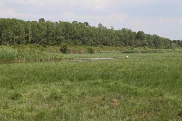 Plan d’eau de la réserve du Hode 