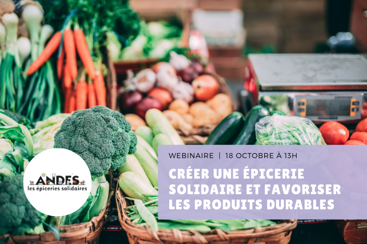 Invitation au prochain webinaire ANDES