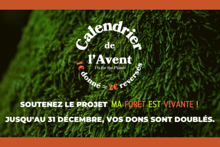 Ma Forêt est Vivante !