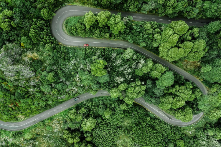 route dans la forêt