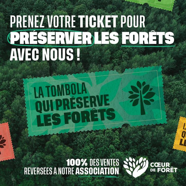 Visuel de campagne : Prenez votre ticket pour préserver les forêts avec nous !
