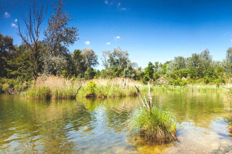 CNP Assurances soutient l’initiative Nature Impact de WWF France en faveur du climat et de la biodiversité. Crédit photo : iStock.