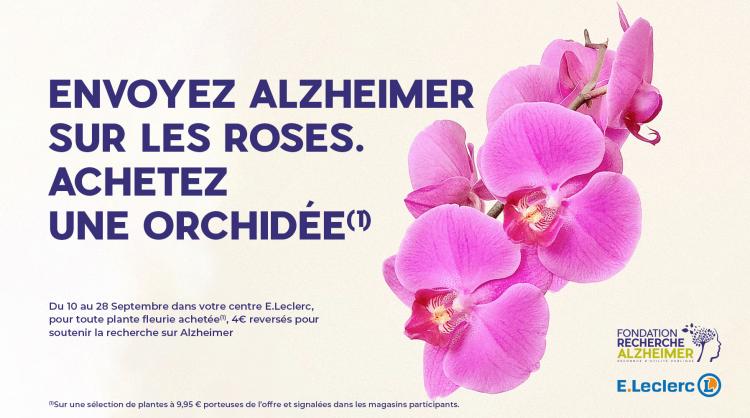envoyez Alzheimer sur les roses en achetant une orchidée