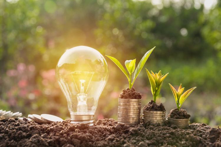 Image représentant des donations et l'émergence d'idées. Crédit : Shutterstock.