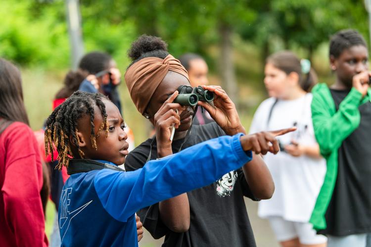 Observation des oiseaux avec la LPO