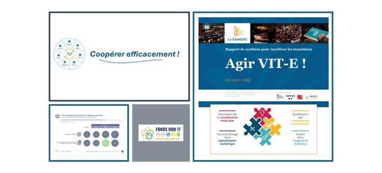 Coopérons VIT-E ! - Gazette mensuelle de l’ODD 17