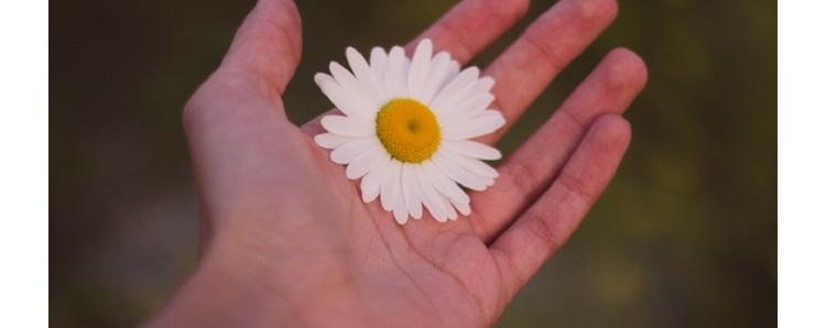 Semaine du Don en Nature du 20 au 25 mars : à vos dons !