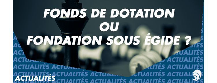 Fonds de dotation ou fondation sous égide : quelle structure choisir ?