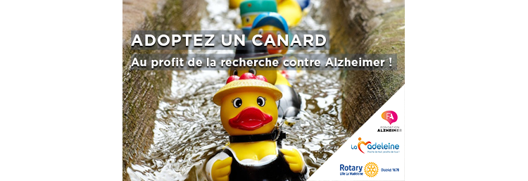 ADOPTEZ UN CANARD AU PROFIT DE LA RECHERCHE CONTRE ALZHEIMER !