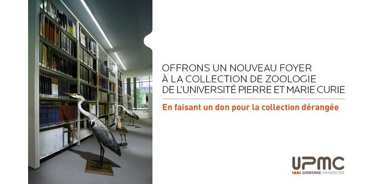 Fondation UPMC : un don pour aménager la collection de zoologie dérangée