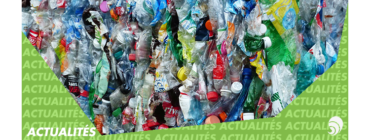 Les Francais jettent 25 M de bouteilles plastiques par jour: comment y remédier?
