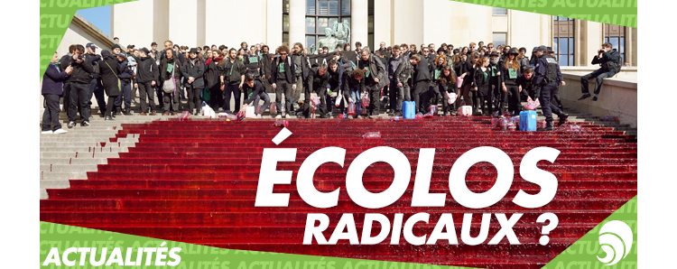 Les mouvements écolos en France : sont-ils radicaux ?