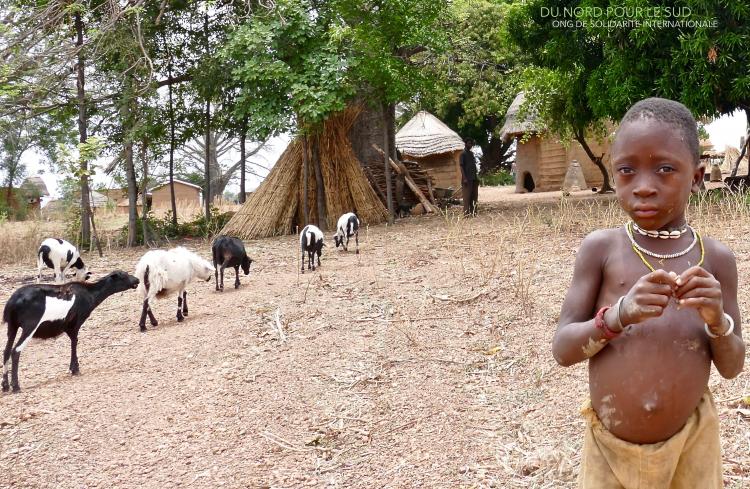 Campagne Cotisations et dons 2018-2019