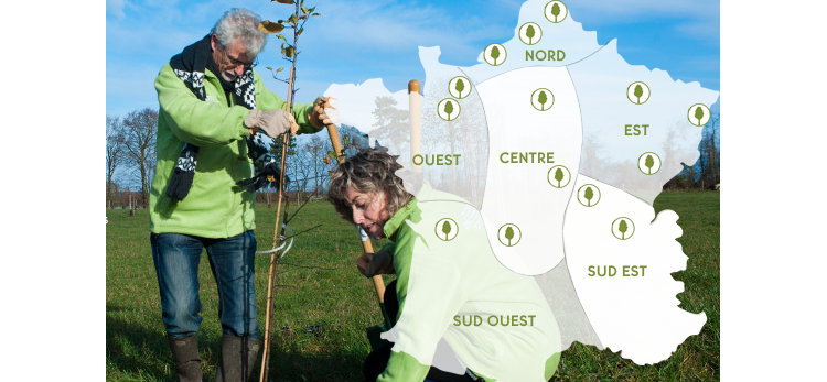 Le Fondation Yves Rocher plante des arbres