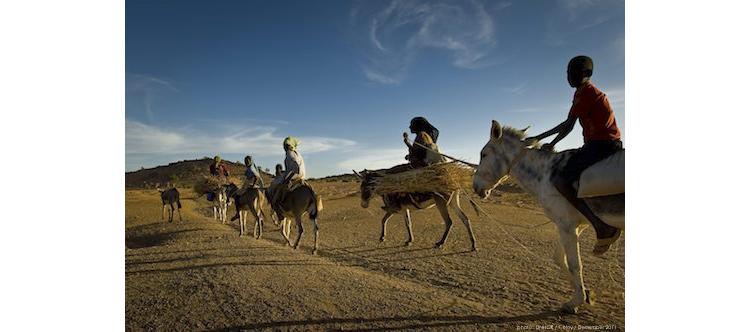 Les migrants climatiques