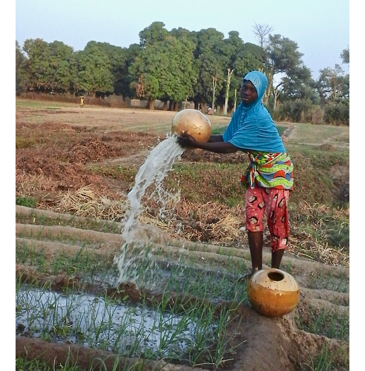 Volet 7: Mali - Microcrédit rural solidai