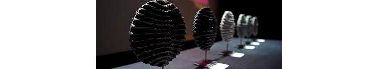 Ce soir seront décernés les Oscars du mécénat Admical