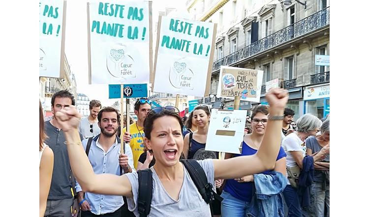"Reste pas planté là ! ", la collection seulement jusqu'au 04 novembre !