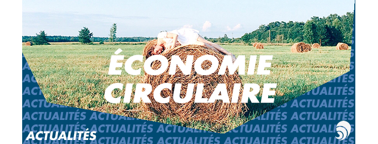 conomie circulaire : le gouvernement publie sa feuille de route