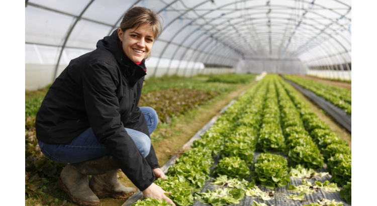 Miimosa, le crowdfunding pour les agriculteurs