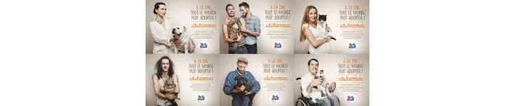 Week-end Portes Ouvertes à la SPA : découvrir, adopter, soutenir l'association
