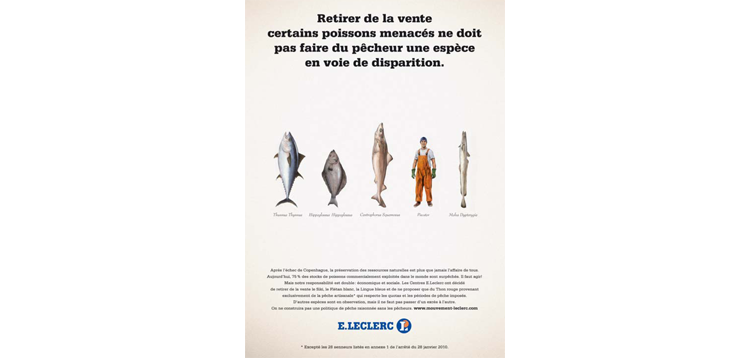 RTL décrypte les publicités d’Auchan, Leclerc et les autres