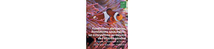 Etude du CFF : L’essor des fondations sous égide et des fondations abritantes