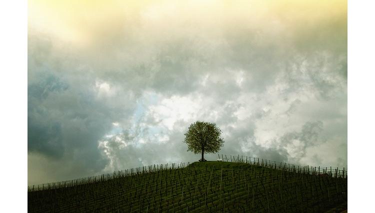 BNP Paribas lance un fonds à impact positif en matière de changement climatique