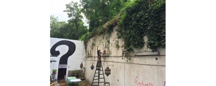 Jardin Potager Vertical sous le soleil de Paris