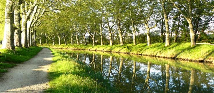 Canal du Midi : Déjà 530 000 euros collectés