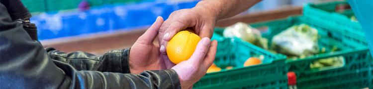 Etude CSA pour les Banques Alimentaires : 69% des bénéficiaires sont des femmes
