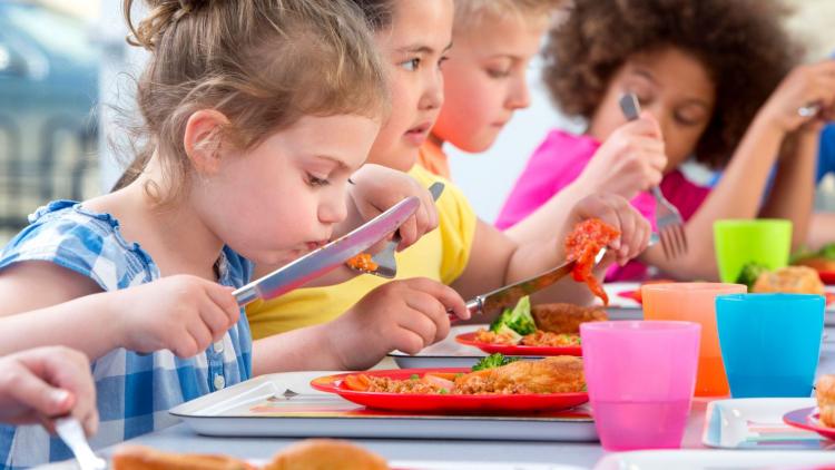 Signez la pétition pour des cantines scolaires bio !