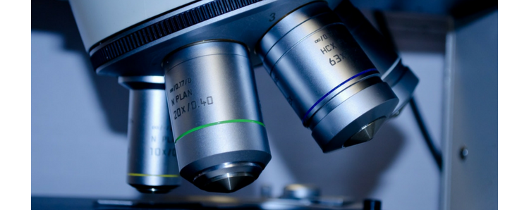 Bilan des actions de la Fondation ARC pour la prévention du cancer